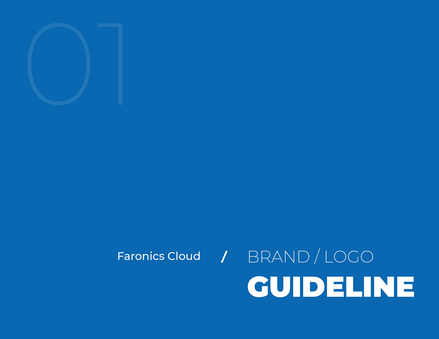 Logo Design and Brand Guideline